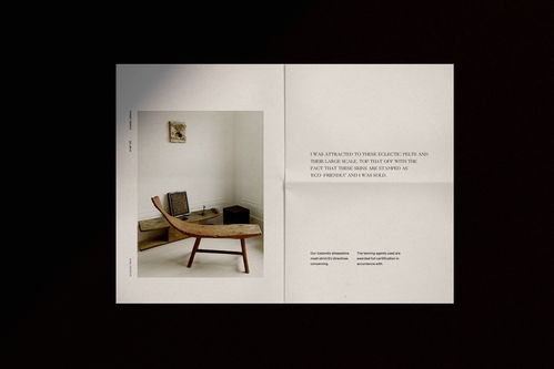 融合自然與室內(nèi) BSWL品牌形象設計在平面設計中的創(chuàng)新表達