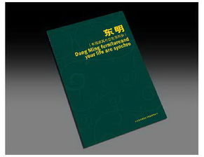 石家莊專業(yè)設計服務 從品牌形象到視覺傳達的一站式解決方案