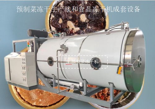 預(yù)制菜凍干生產(chǎn)線與食品凍干機成套設(shè)備在光學器材領(lǐng)域的應(yīng)用